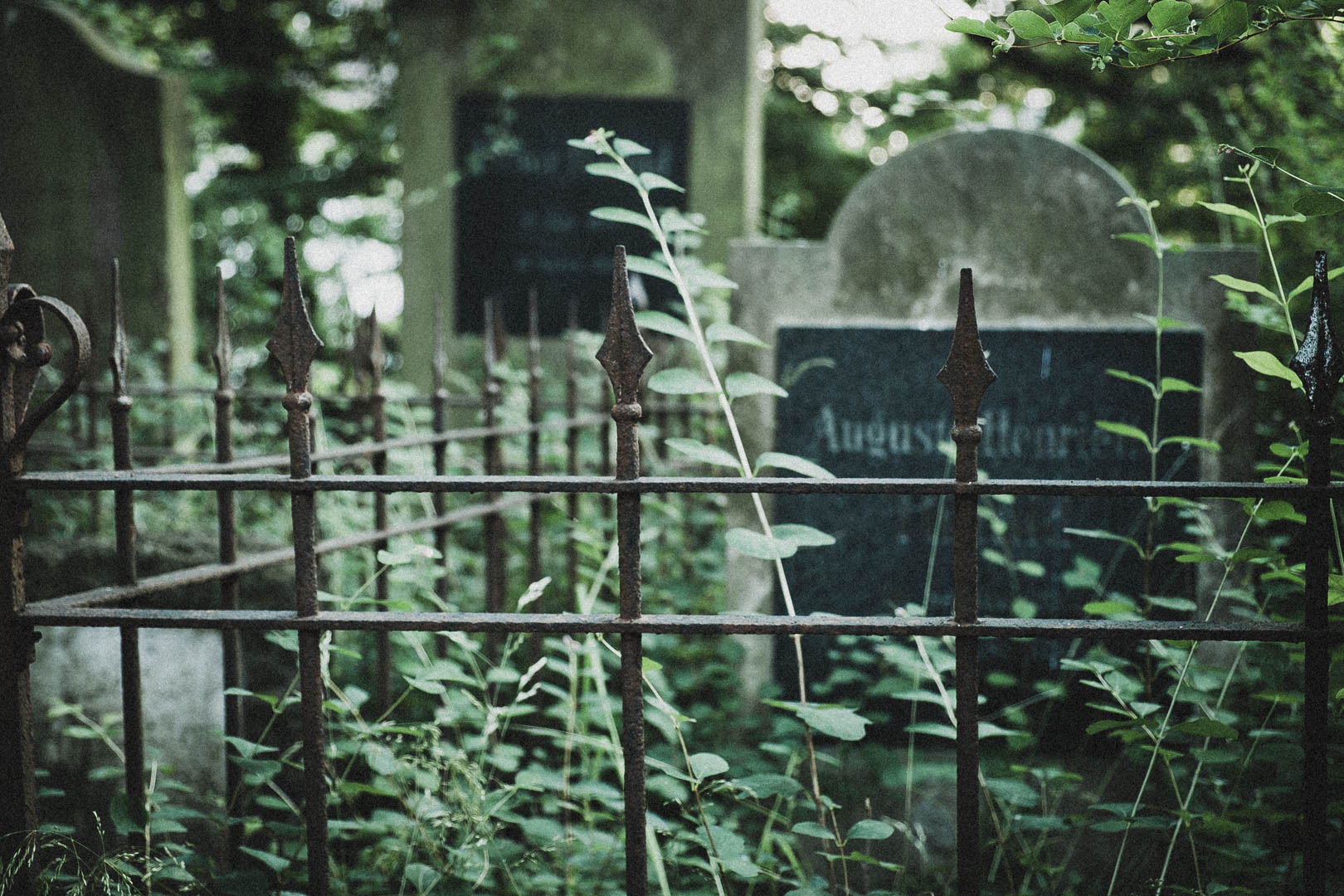 Jüdischer Friedhof Kassel-Bettenhausen